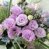 Lisianthus Lavender