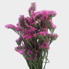 Statice Rose