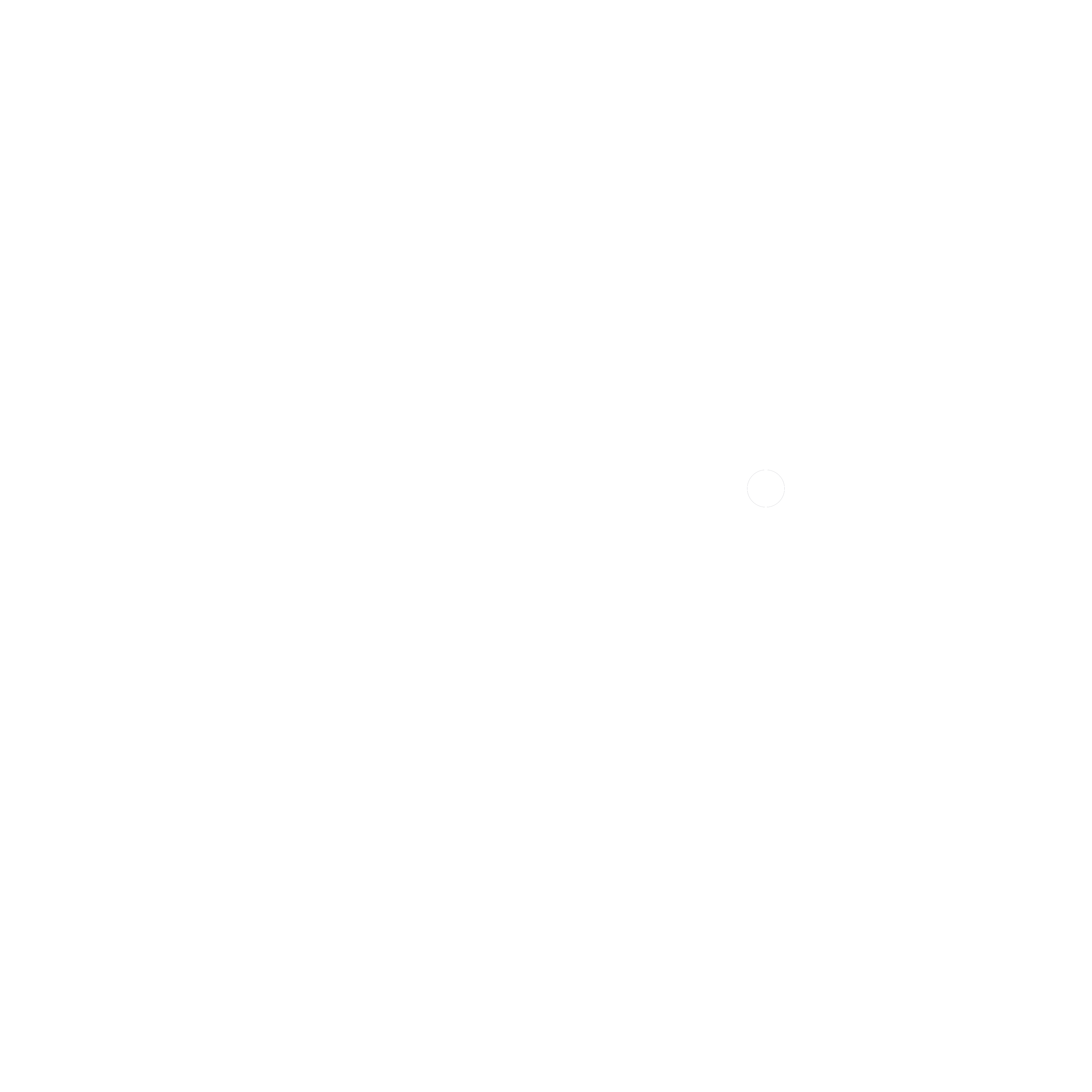 SANSNiK Wordmark Logo - White (No Background) (6).png