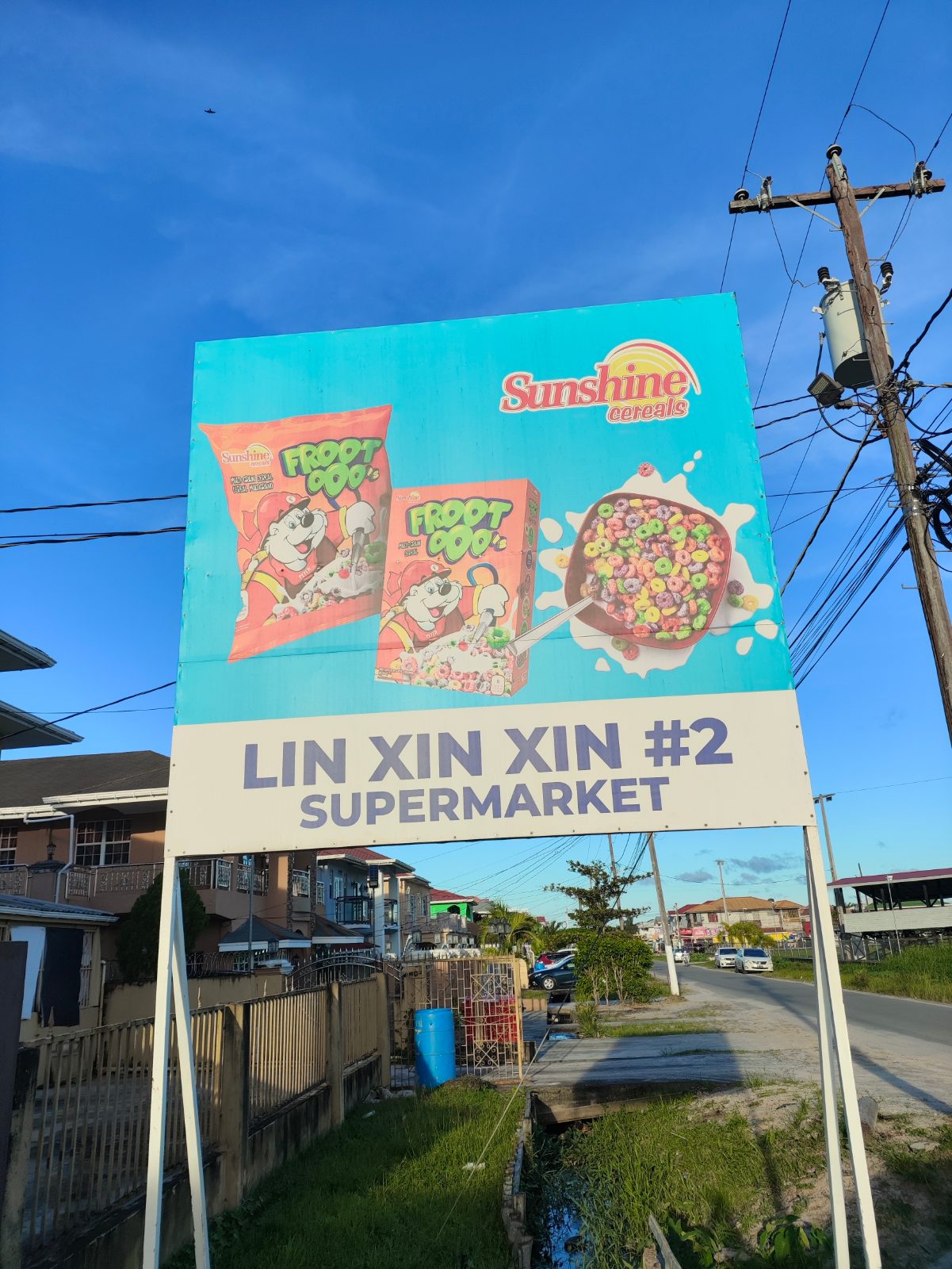 Lin Xin Xin