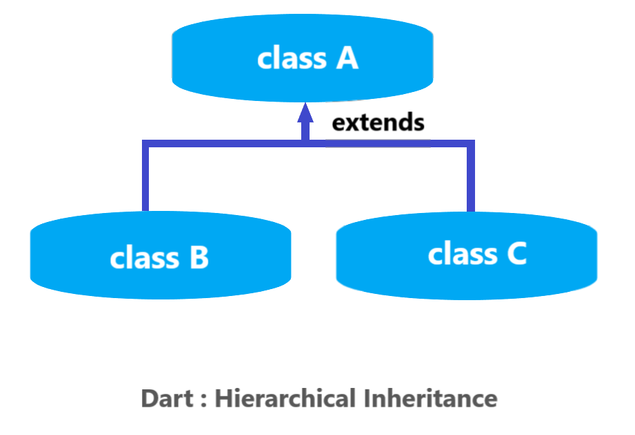 dart : Hierarchical Inheritance