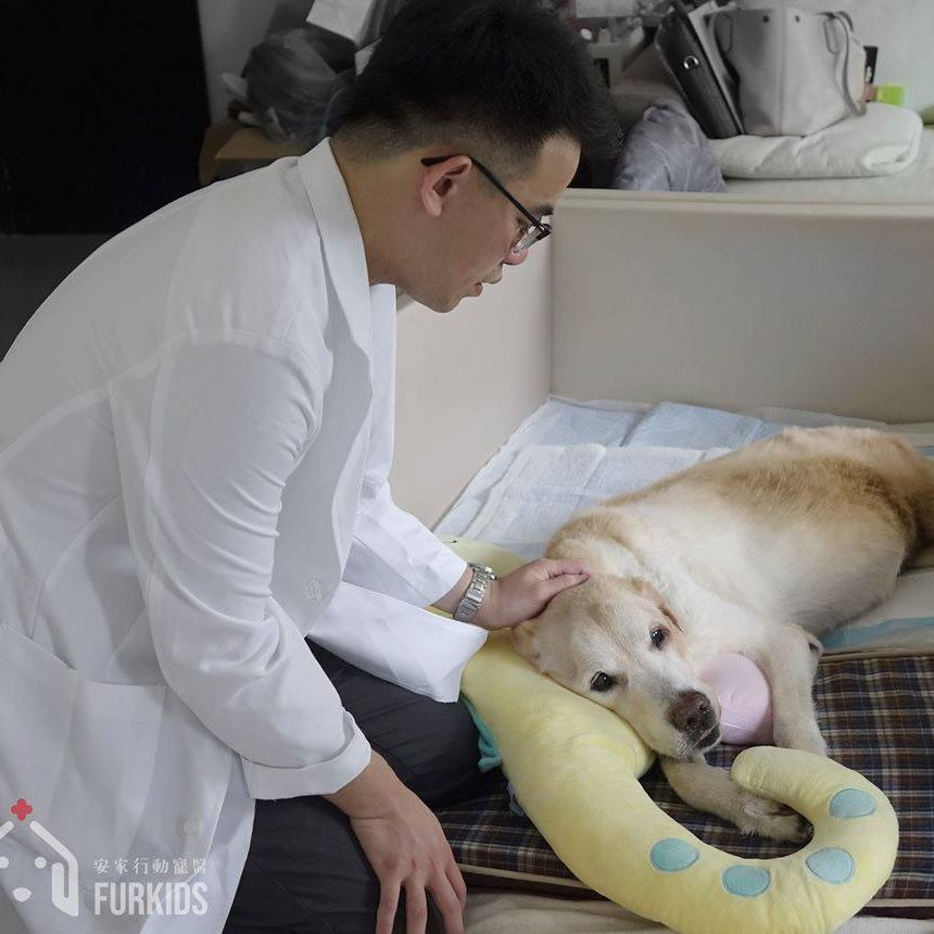 寵物到府安樂善終  $5000-$6500 - 服務說明 1