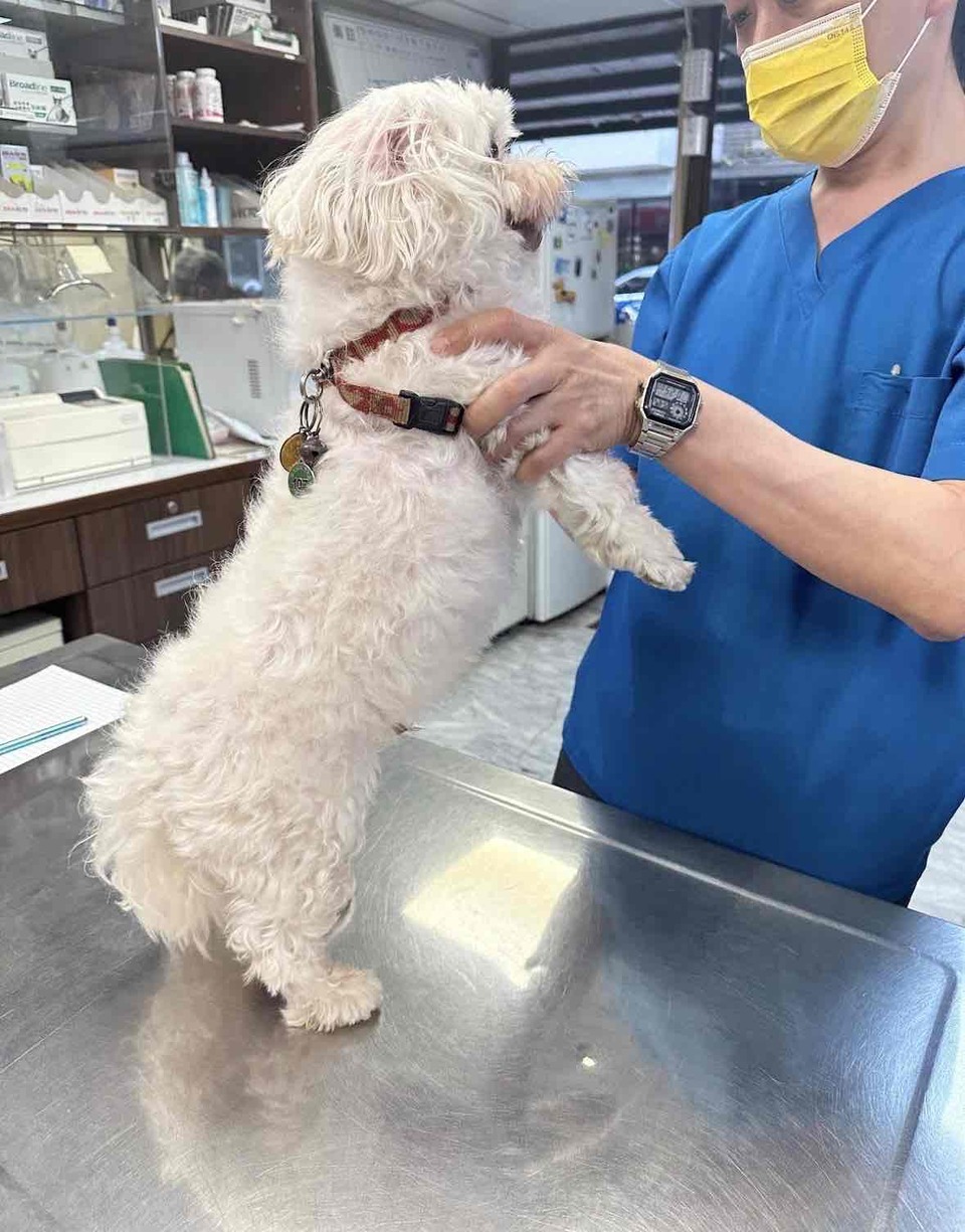 人人愛動物醫院 - 服務說明 1