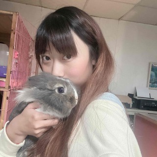 芙芙