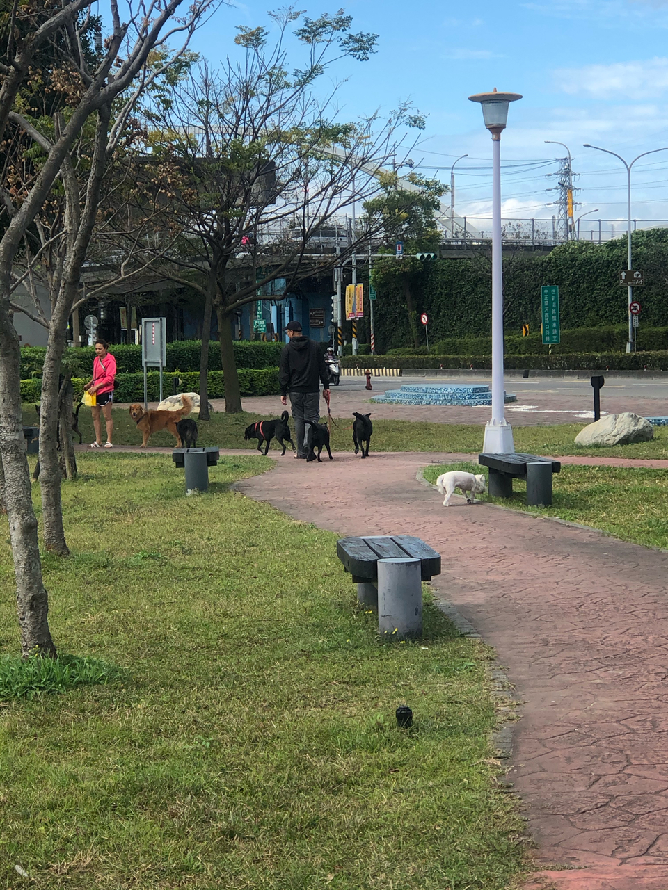 任何動物都可預約唷！寵物相關領域已有7年經驗，跟無限的❤️ - 服務說明 4