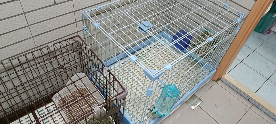 「兔籠大清下單區」 - 服務說明 1