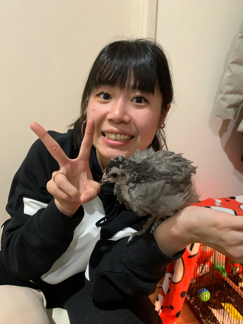 我是Pomi🐱台北市到府照顧接各種寵物🐶 - サービス説明 6