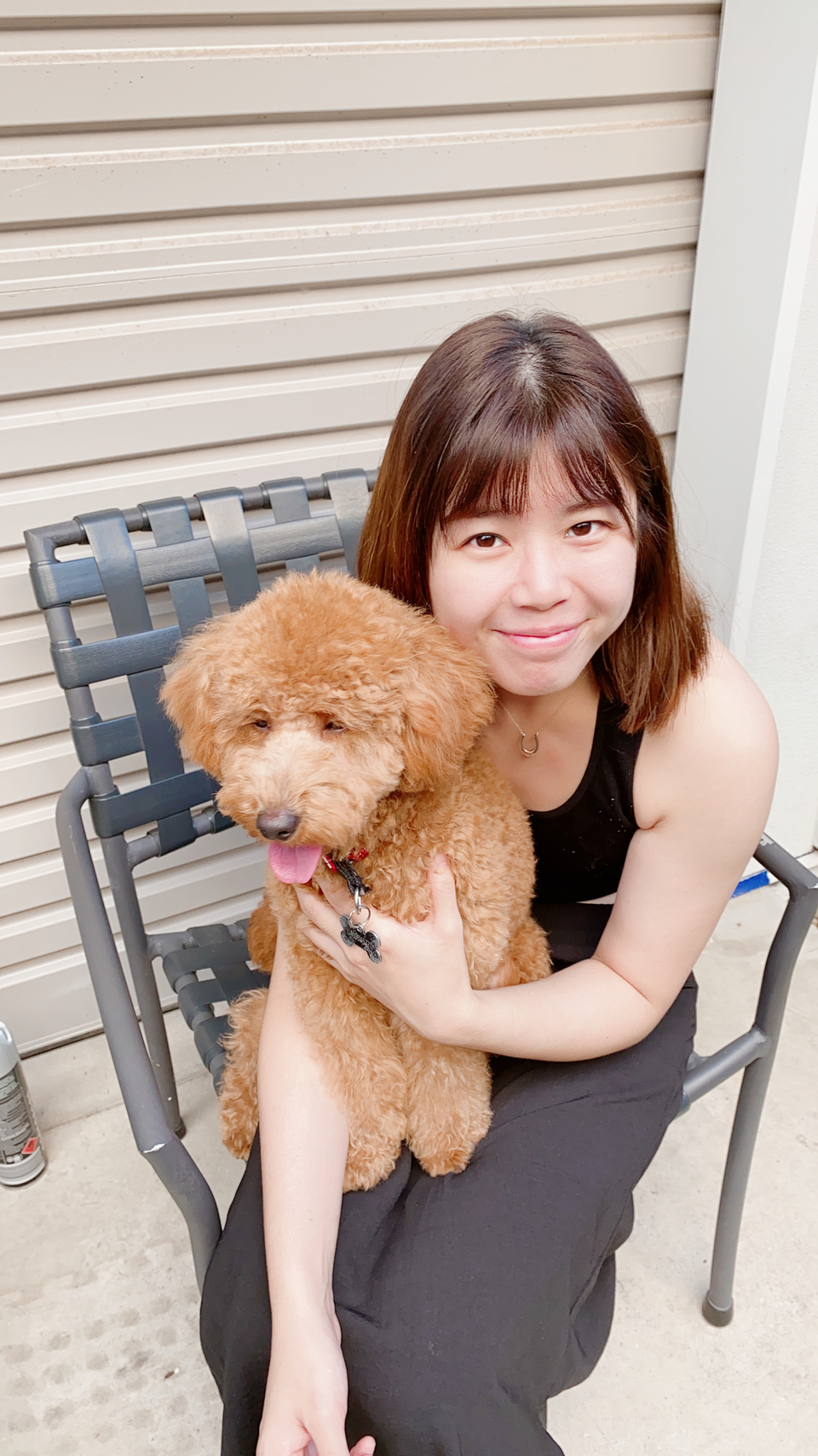 我是Pomi🐱台北市到府照顧接各種寵物🐶 - サービス説明 3