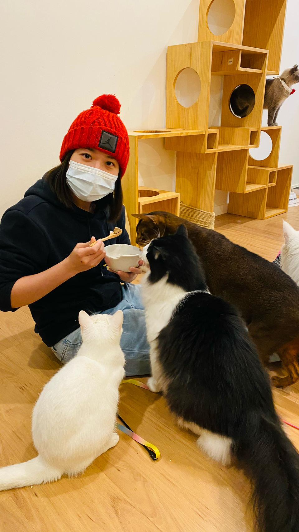我是Pomi🐱台北市到府照顧接各種寵物🐶 - サービス説明 2