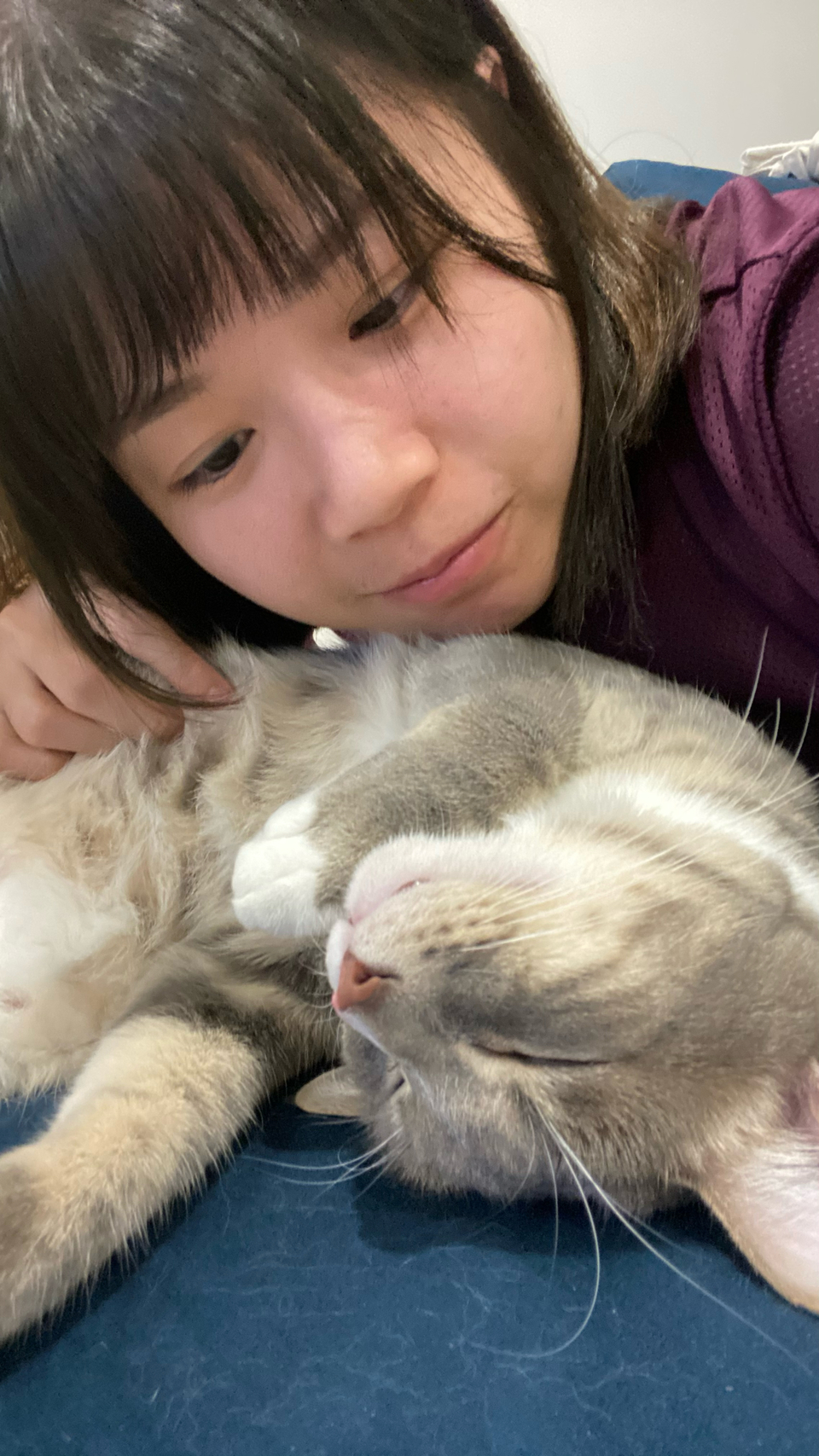 我是Pomi🐱台北市到府照顧接各種寵物🐶 - サービス説明 8