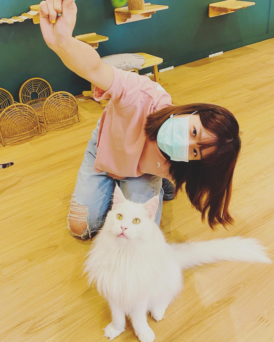 我是Pomi🐱台北市到府照顧接各種寵物🐶 - サービス説明 9