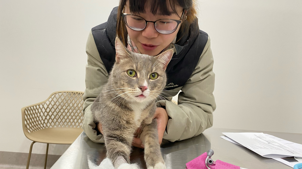 我是Pomi🐱台北市到府照顧接各種寵物🐶 - サービス説明 5