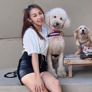 一條繩子，樂樂🐾懂毛孩的心