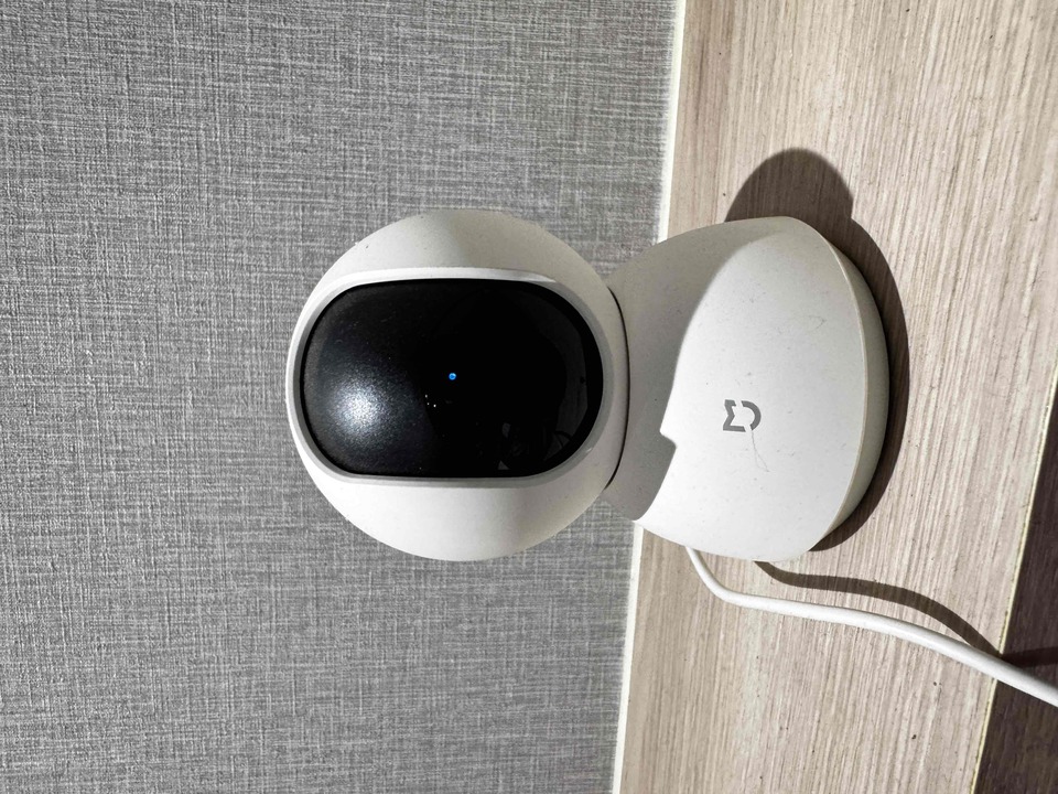 楊梅區🐾樂樂寵物日托安親班 【 20坪 透天開放大空間 】 - サービス説明 9