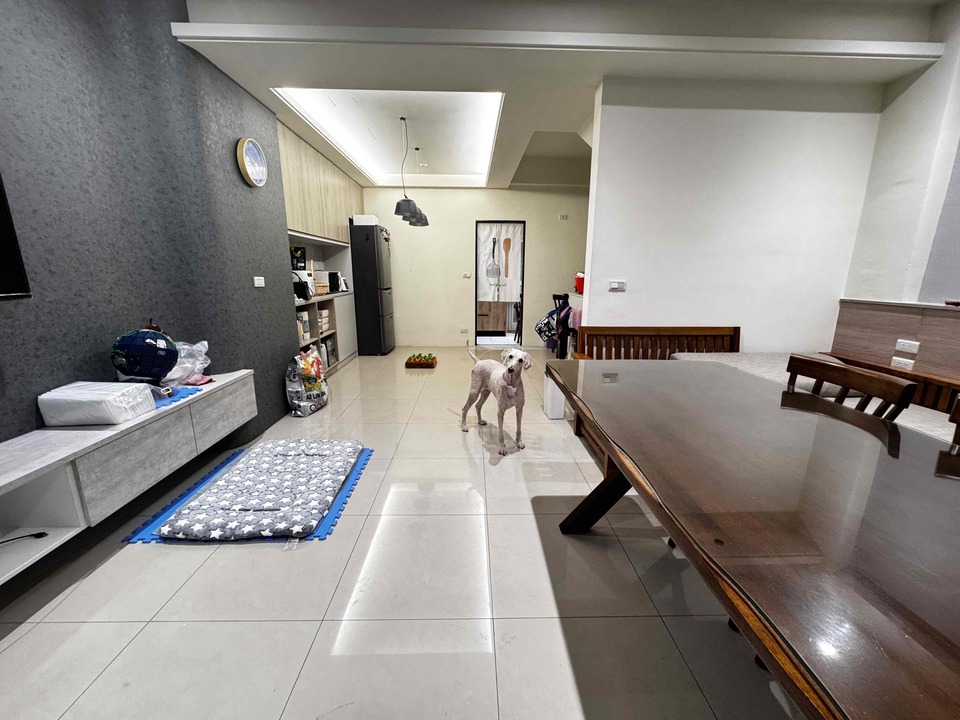 楊梅區🐾樂樂寵物日托安親班 【 20坪 透天開放大空間 】 - サービス説明 1