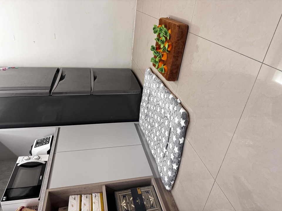 楊梅區🐾樂樂寵物日托安親班 【 20坪 透天開放大空間 】 - サービス説明 5