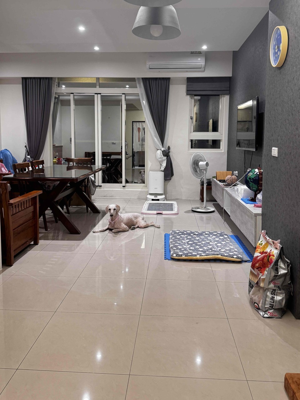 楊梅區🐾樂樂寵物日托安親班 【 20坪 透天開放大空間 】 - サービス説明 7