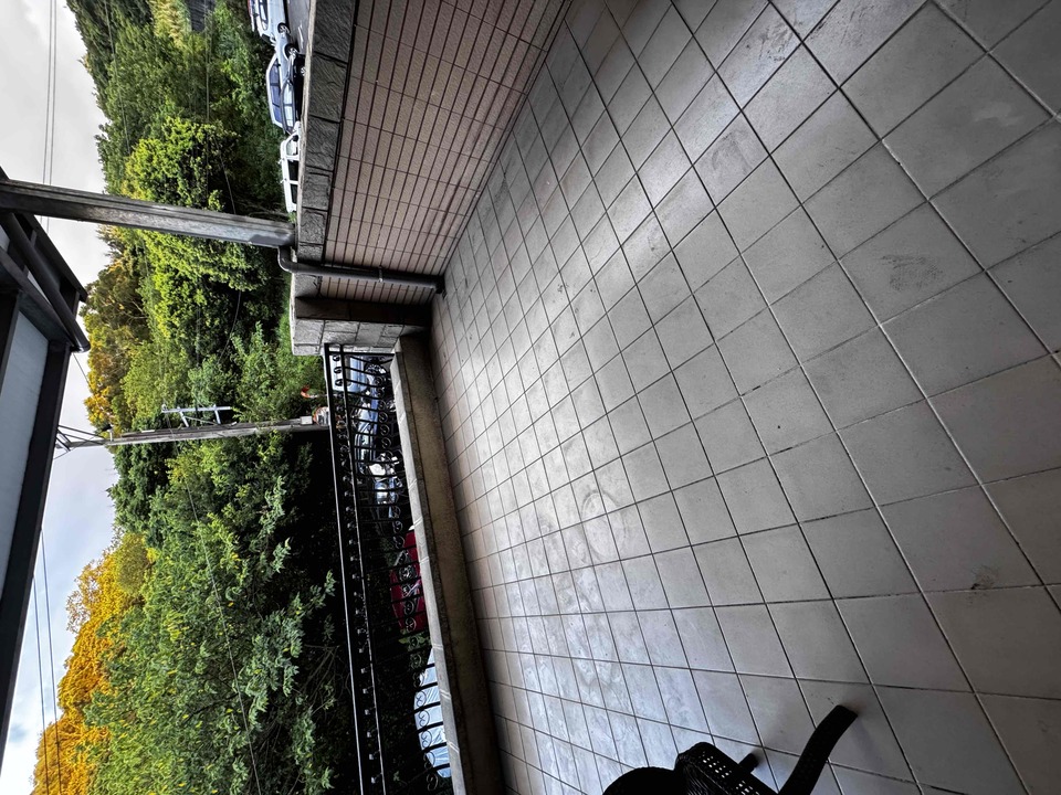 楊梅區🐾樂樂寵物日托安親班 【 20坪 透天開放大空間 】 - サービス説明 4