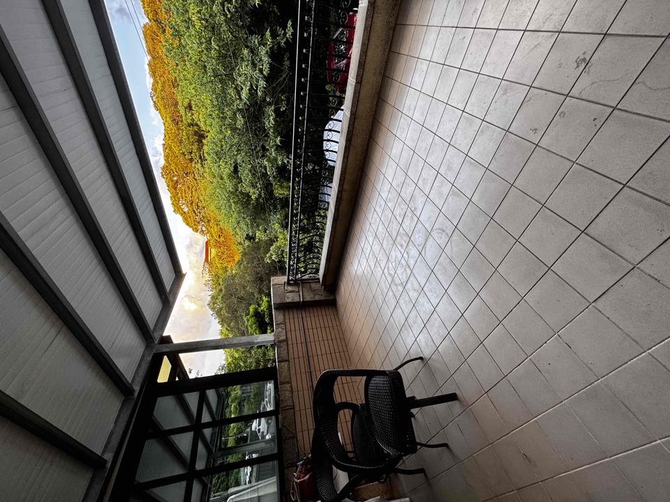 楊梅區🐾樂樂寵物日托安親班 【 20坪 透天開放大空間 】 - サービス説明 2