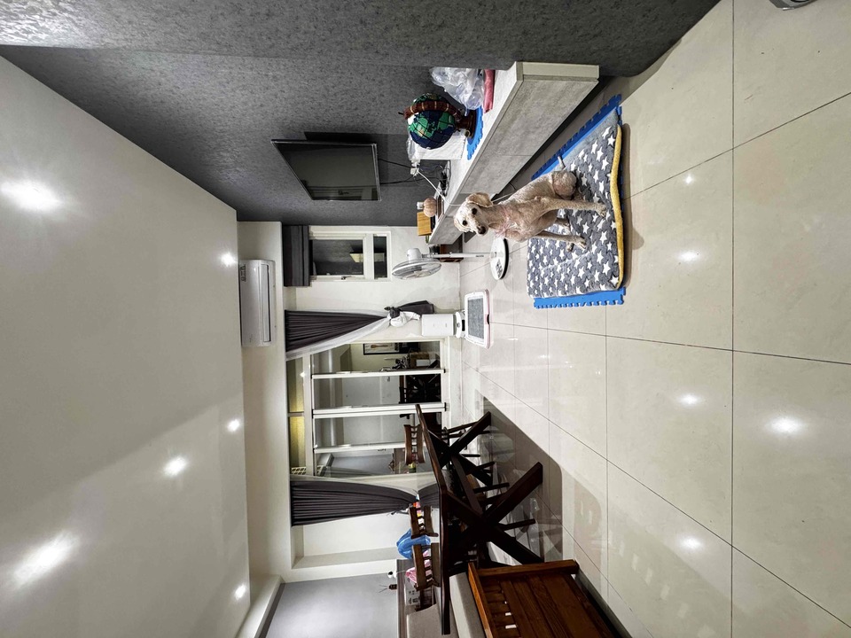 楊梅區🐾樂樂寵物日托安親班 【 20坪 透天開放大空間 】 - サービス説明 6