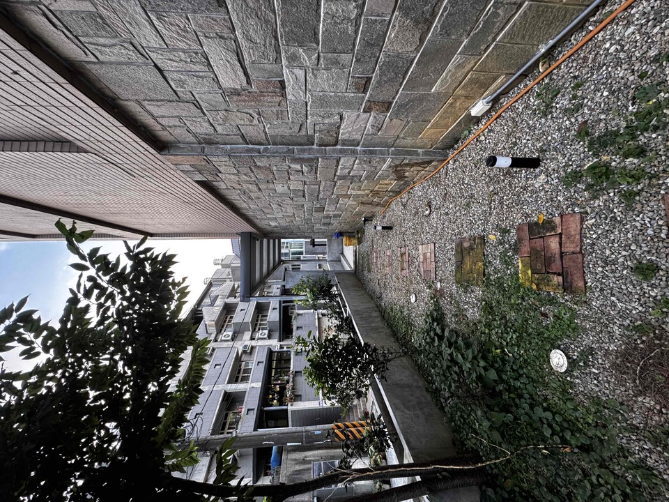 楊梅區🐾樂樂寵物日托安親班 【 20坪 透天開放大空間 】 - サービス説明 3