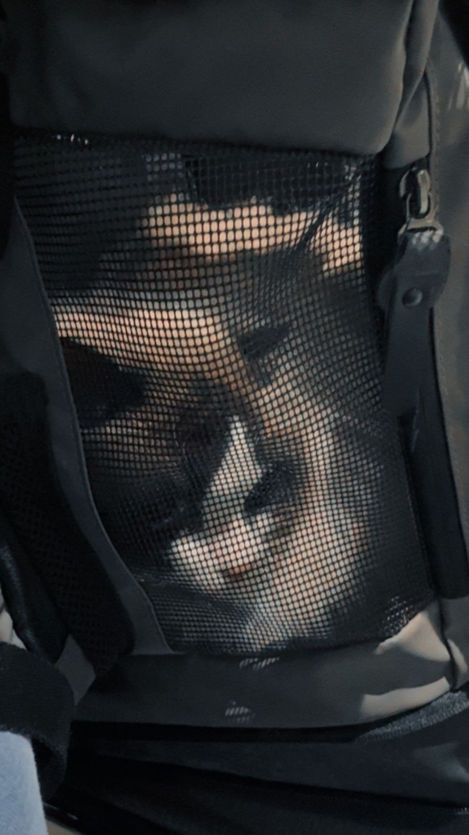 狗狗陪走員，溜溜狗也遛遛我自己 - 服務說明 4