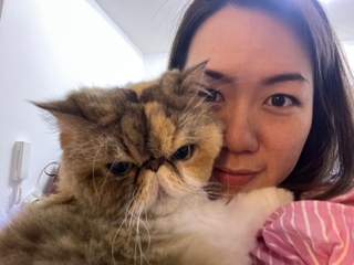 晨熹寵物寄宿·保姆服務｜Sunlit Cat Hotel