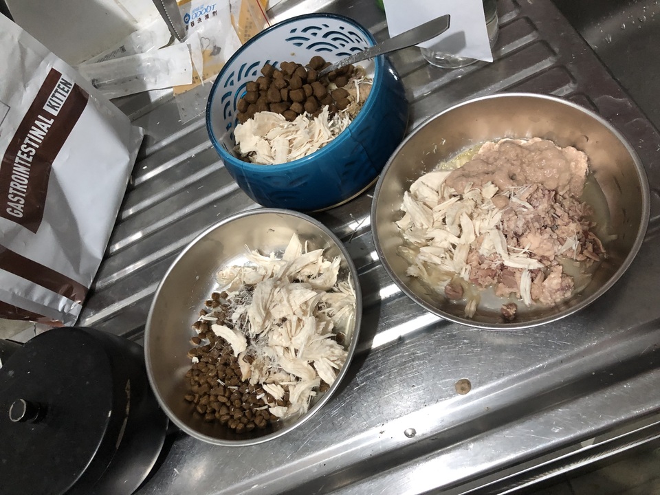 晨熹寵物寄宿及上門保母服務 - 服務說明 3