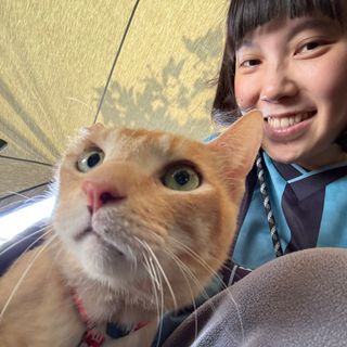最懂主子心的晶晶姊姊🐱貓咪陪玩🧶到府照顧🏠客製化服務🙋🏻‍♀️