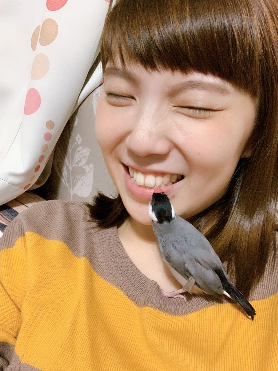 《客製服務下單專區》到府寵物保姆｜到府鏟屎、餵食、陪伴服務（客製化需求請先私訊溝通討論） - 服務說明 3