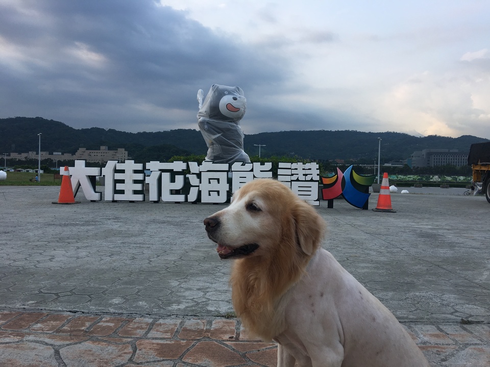 只會剃黃金獵犬 - 服務說明 7