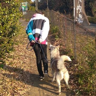 ざき🐾
