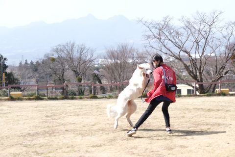 【訪問シッター】ご自宅お留守番サポート