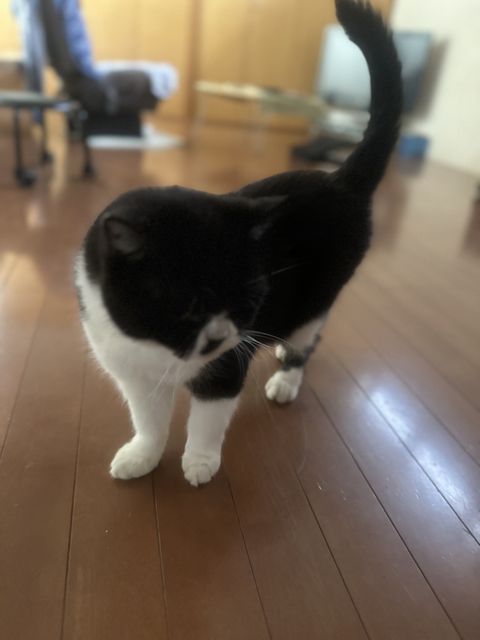 【訪問シッター】初回カウンセリング