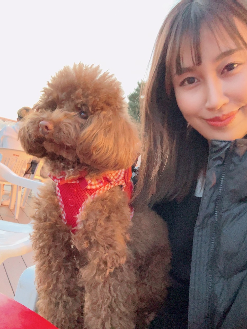 【ペットシッターサービス】お留守番サポート🐶😺 - サービス説明 2