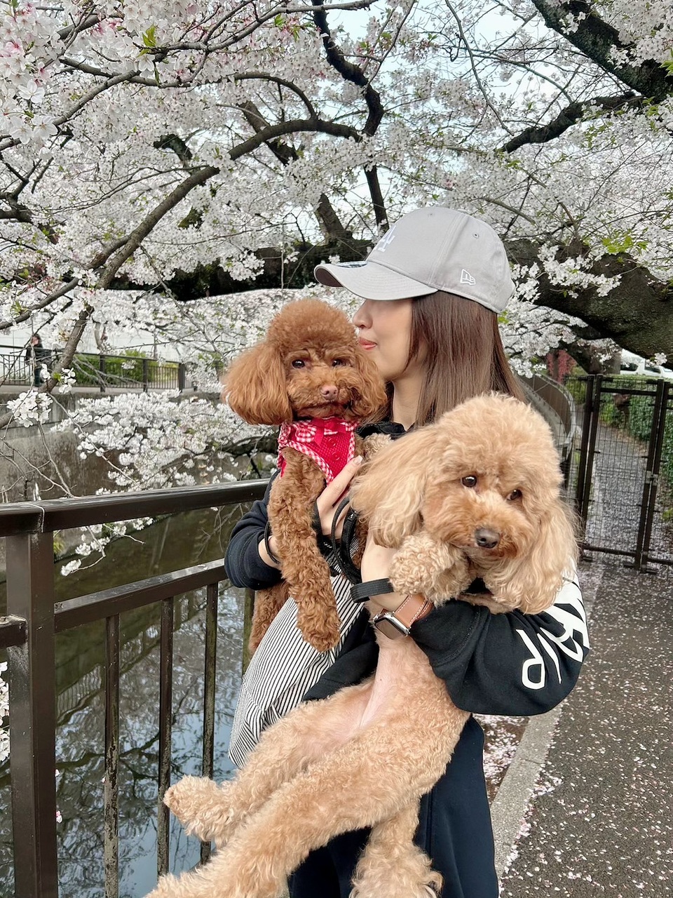 【ペットシッターサービス】お留守番サポート🐶😺 - サービス説明 3