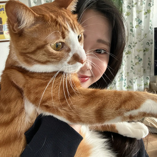 さいとう