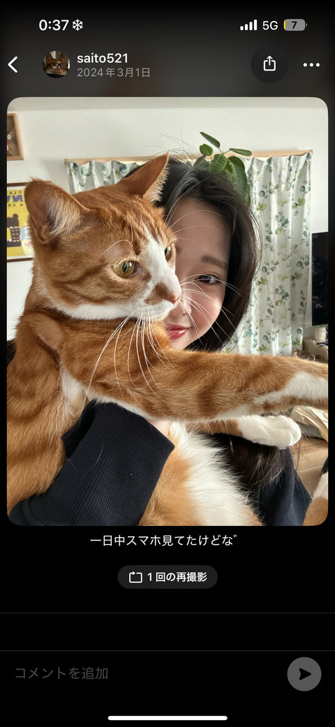 🏠訪問シッター　🉑幅広い動物種対応可能です　