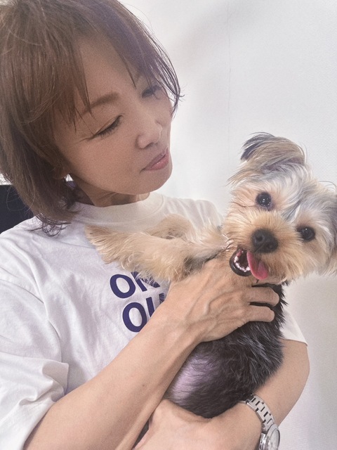 目黒、品川、世田谷、渋谷、港区、お伺いできます。ワンちゃん、ネコちゃんのシッティング以外に、パピー、キティのお部屋での安全なお遊び。シニア犬の見守り。小型犬3頭までの散歩承ります。日に数回の訪問、長時間のケアなどもご相談ください。