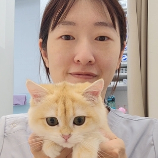 金蓓蓓媽咪