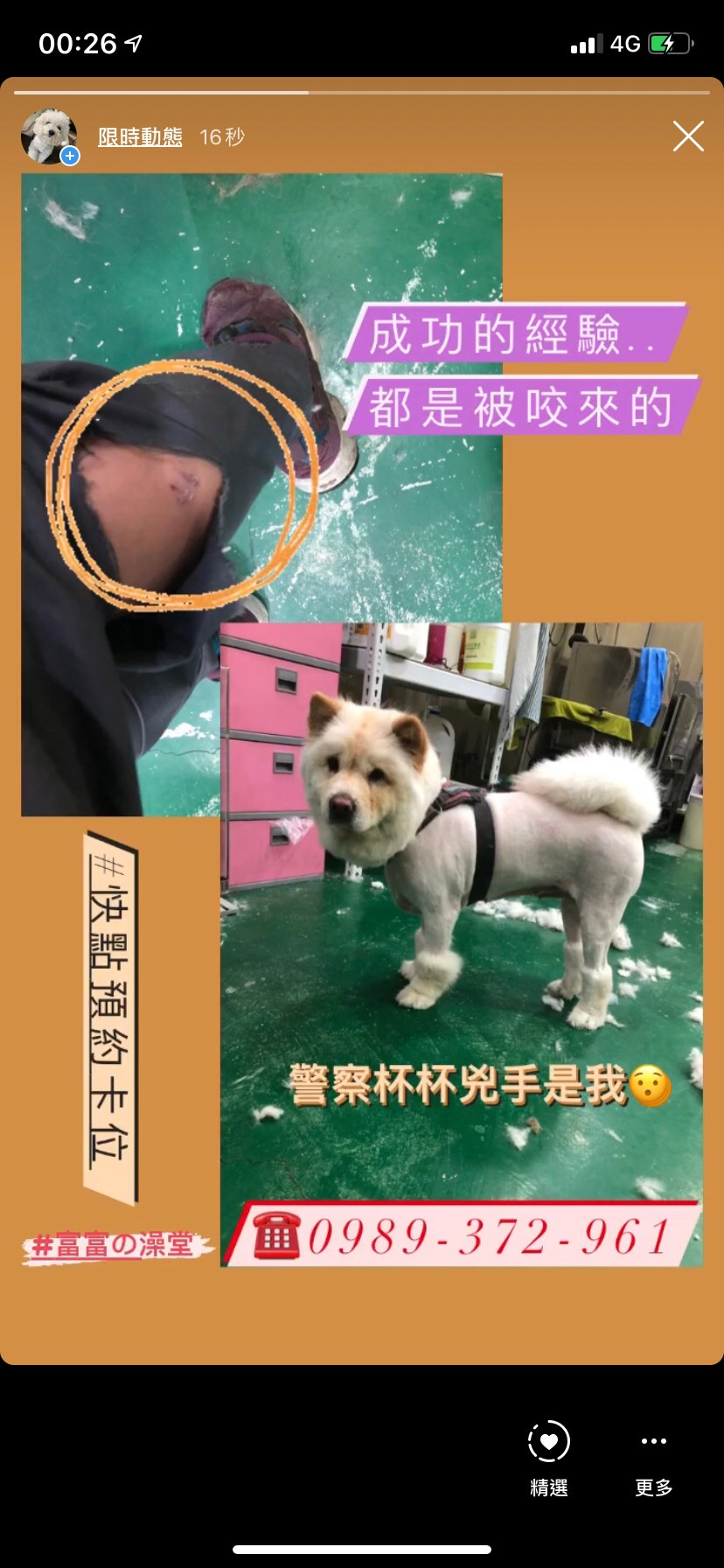 客製-洗澡趣🚗專車「到府接送」「到府接送」「到府接送」毛孩洗澡 - サービス説明 10