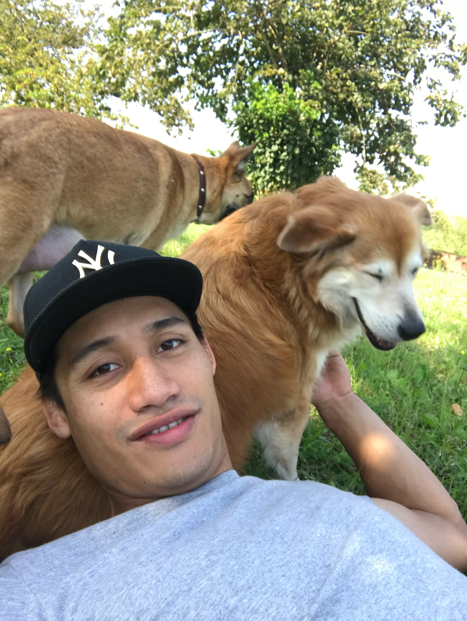 照顧狗狗15年經驗，非常喜歡狗狗春節期間也可 - Description 6