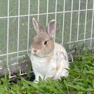 蓁蓁魷魚絲好吃