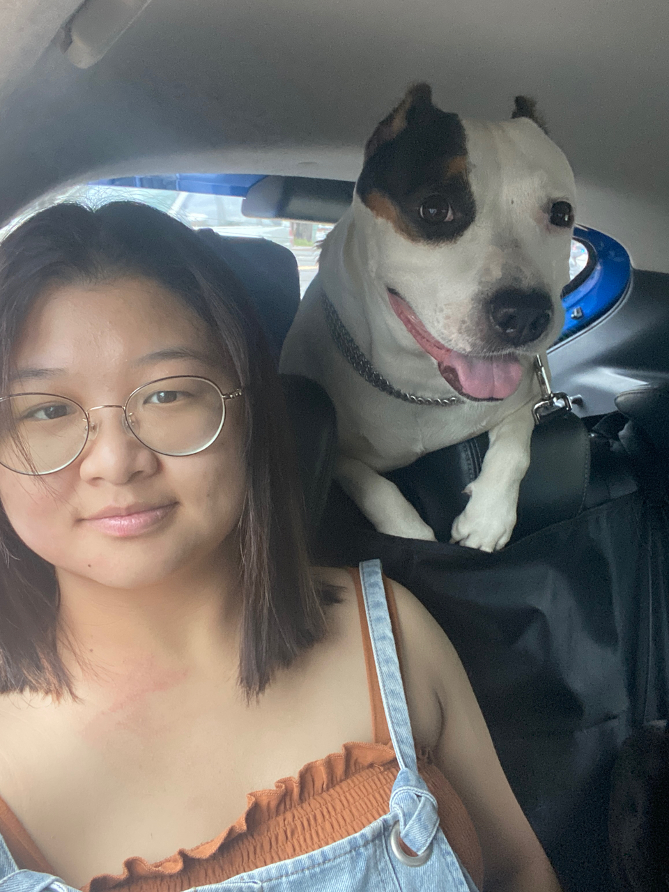 遛寵物，大中小隻寵物～ - 服務說明 4