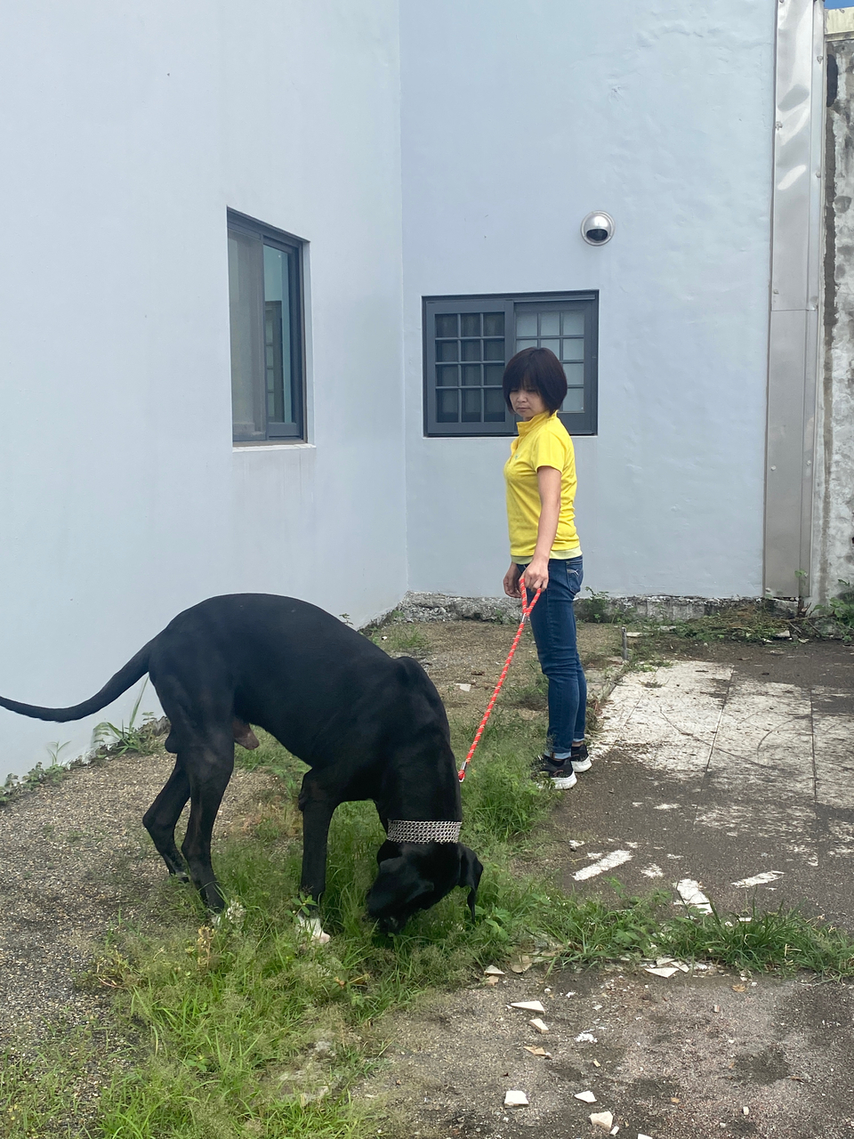 遛寵物，大中小隻寵物～ - 服務說明 6