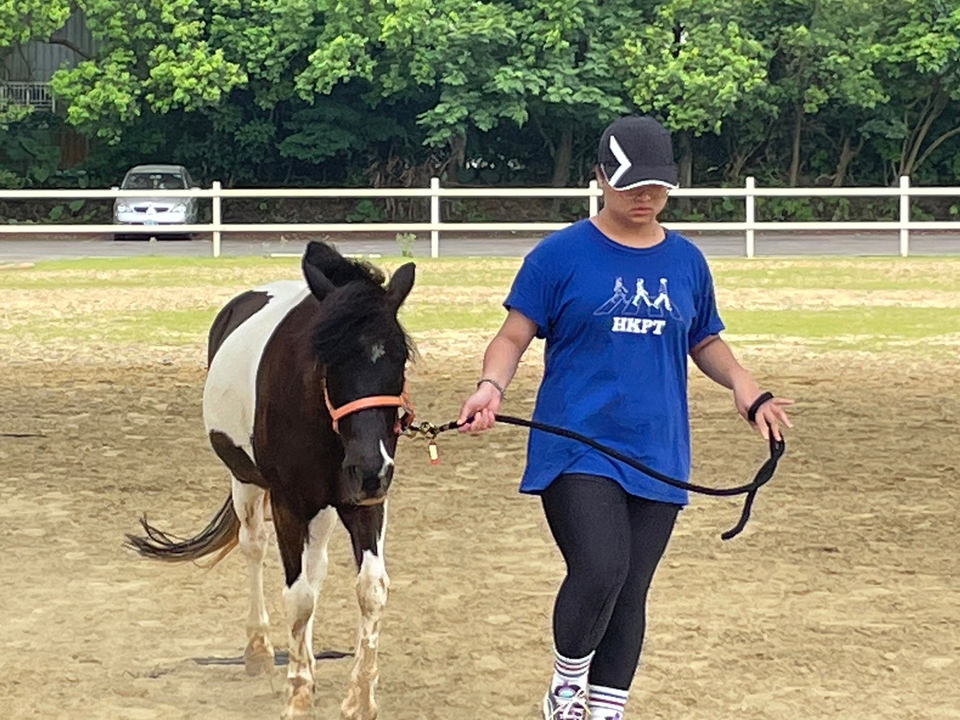 遛寵物，大中小隻寵物～ - 服務說明 1