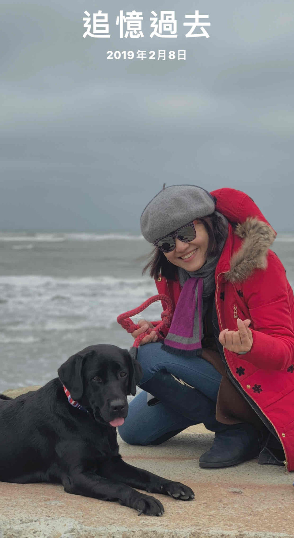 具 導盲犬訓練的寄養家庭、導盲犬社會化教育師。導盲犬種犬、幼犬寄養家庭 - 服務說明 2