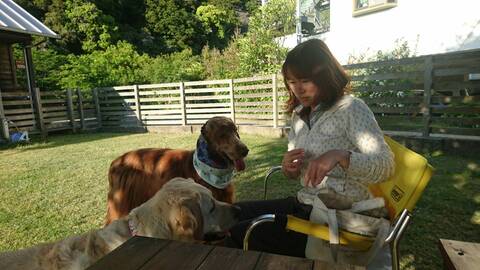 小型犬〜大型犬まで丁寧なシッティング承ります。Sitting .I'm fine with English. 
