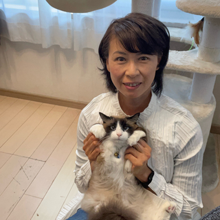 Yumi