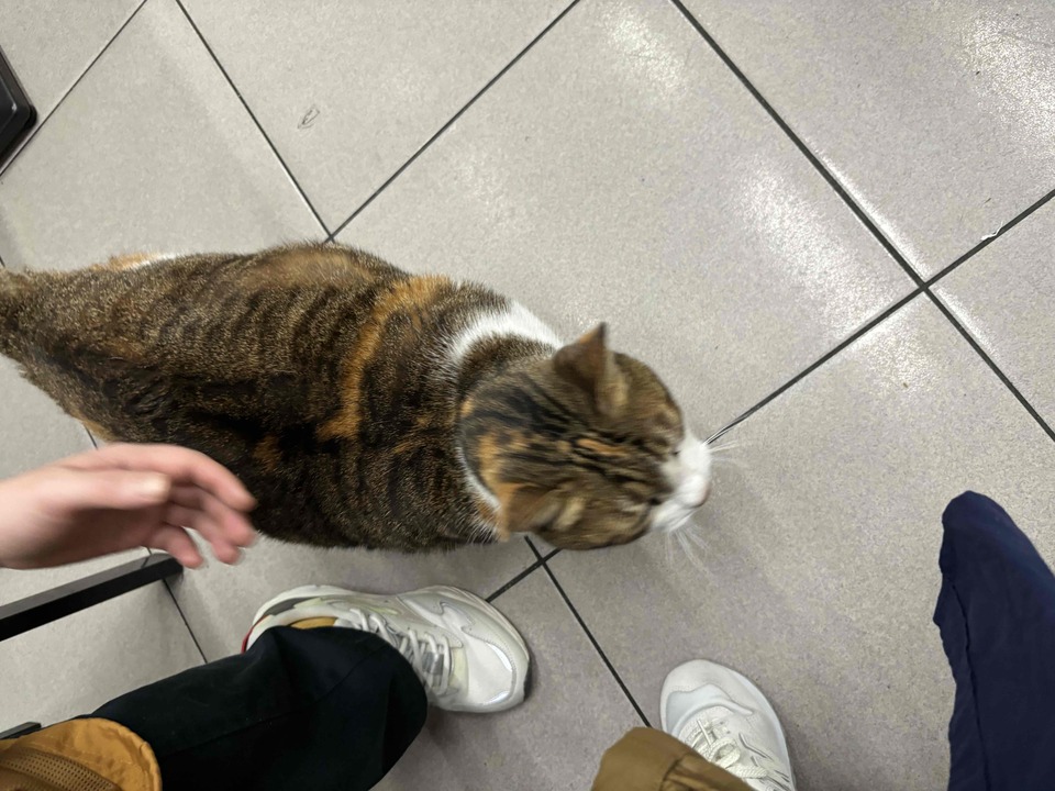 我是寵物的最佳陪伴員 - Description 1